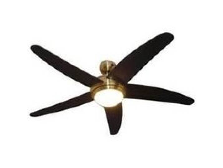 Ventilateur de plafond MELTON de Pepeo Laiton …