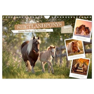 Shetlandponys - Kleine Pferde, große Momente (Wandkalender 2027 DIN A4 quer), CALVENDO Monatskalender