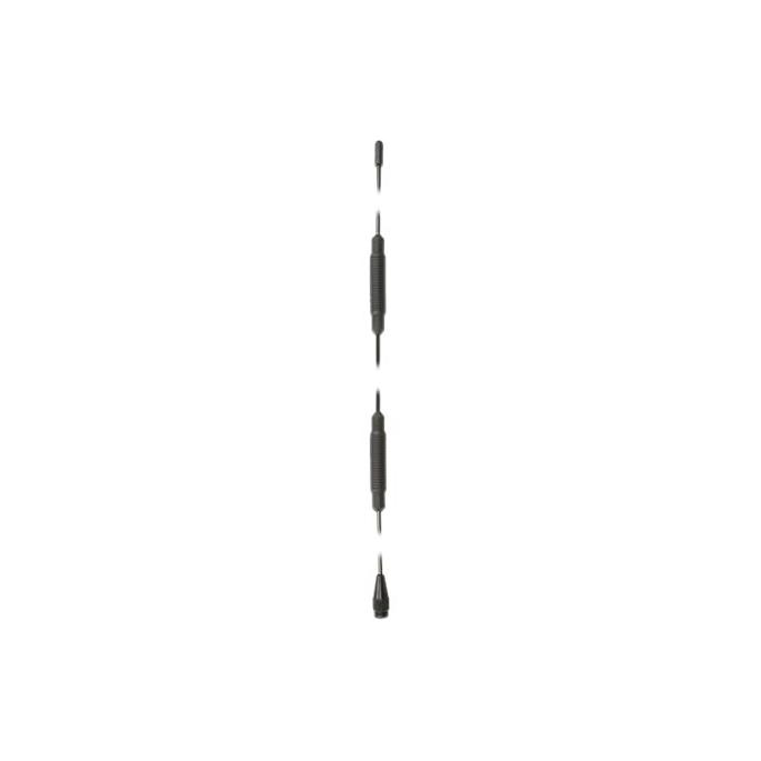 Delock Radio-Antenne (12445)