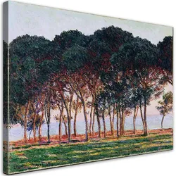 WANDBILD unter den kiefern claude monet