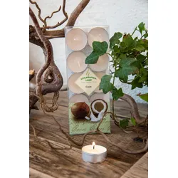 S-7680 Schlaraffenland Duftlichter  Cocos  10er Pkg.