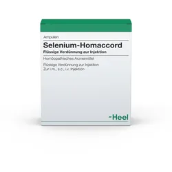 Selenium Homaccord Ampullen 10 St