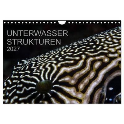 Unterwasser Strukuren (Wandkalender 2027 DIN A4 quer), CALVENDO Monatskalender