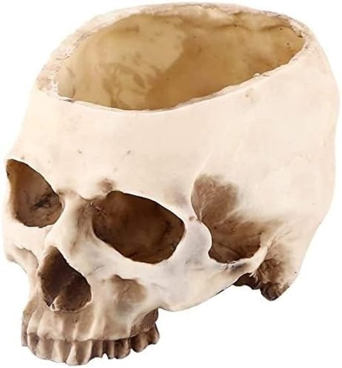 Store_9 Skull Plant Pot - Transparante moderne decoratie van resin voor binnen