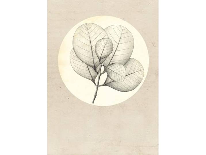Komar Feuille transparente - Dimensions : 50 x 70 cm - Tableau mural - Poster - Impression d'art (sans cadre) - Pure Boutique