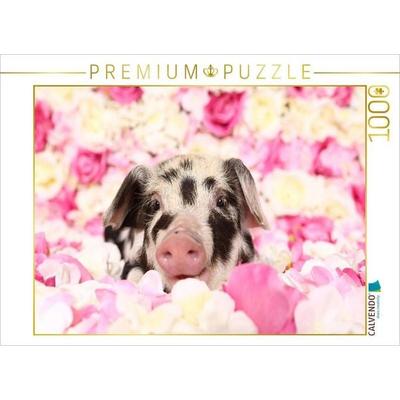 CALVENDO Puzzle Turopolje Ferkel | 1000 Teile Lege-Größe 64x48cm Foto-Puzzle für glückliche Stunden