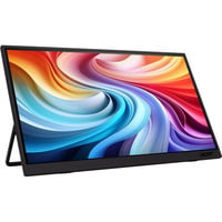 PM161W , LED-Monitor 40.6 cm (16 Zoll), schwarz, WUXGA, IPS, MiniHDMI, USB-C