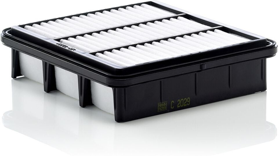 Luftfilter MANN-FILTER C 2029