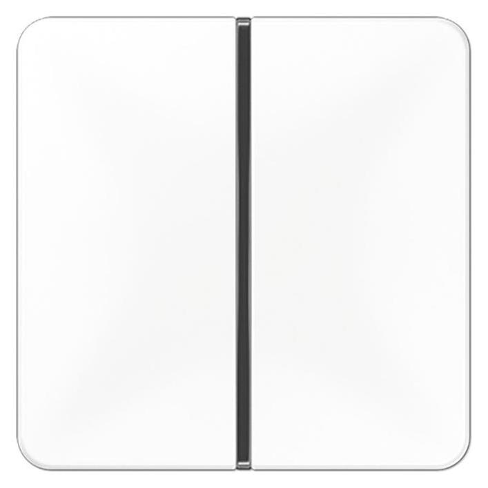 JUNG Wippe 1t Schalter CD aws glz CD401TSAWW (CD401TSAWW)