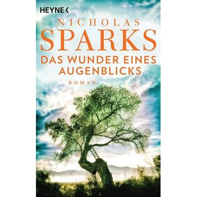 Das Wunder eines Augenblicks, Taschenbuch von Nicholas Sparks, Heyne, 978-3-453-42393-0