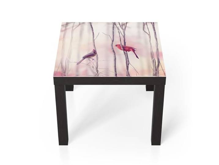 DEQORI Glastisch schwarz klein 55x55 cm Motiv Gefiederte Freunde ausgefallener Beistelltisch aus Glas Hochglanz Couchtisch fürs Wohnzimmer moderner Couch Tisch mit Design