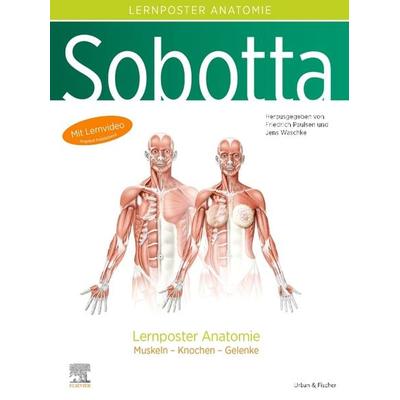 Sobotta Lernposter Anatomie, Sonstige von , Urban & Fischer in Elsevier, 978-3-437-44190-5