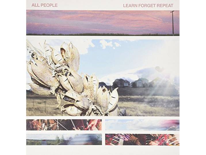 Learn Forget Repeat