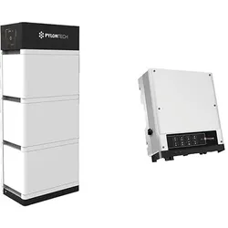 GoodWe '48V FORCE-L2 10.65 + GW3048 '(0% MwSt §12 III UstG)