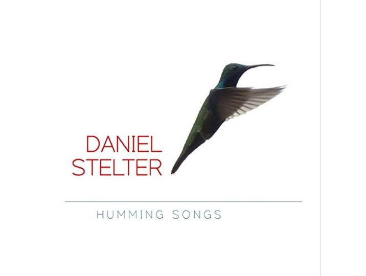 Daniel Stelter - Humming Songs