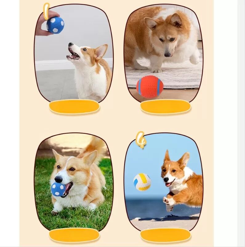 INF Grand Jouet de Football pour Animaux de Compagnie : Mastication et Divertissement
