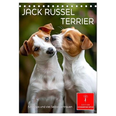 Jack Russel Terrier - furchtlos und viel Selbstvertrauen (Tischkalender 2026 DIN A5 hoch), CALVENDO Monatskalender