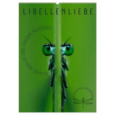 LibellenLiebe - Schau mir in die Augen, Kleines! (Wandkalender 2027 DIN A2 hoch), CALVENDO Monatskalender