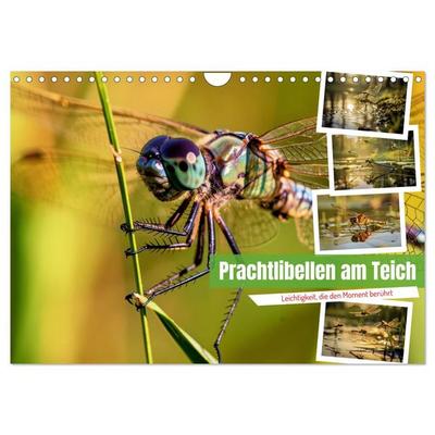 Prachtlibellen am Teich (Wandkalender 2027 DIN A4 quer), CALVENDO Monatskalender