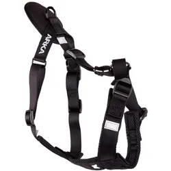 Martin Sellier Ccross (XXL, Hund, Allgemein, Spazieren), Halsband + Leine