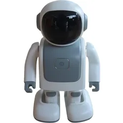 Allnet Robert - Roboter mit Bluetooth Speaker und Programmierung über APP "Christmas Edition", Robotik Kit, Grau