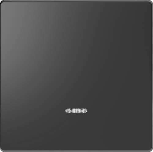 Merten Abdeckung Wechselschalter System Design Anthrazit MEG3320-6034 1St.