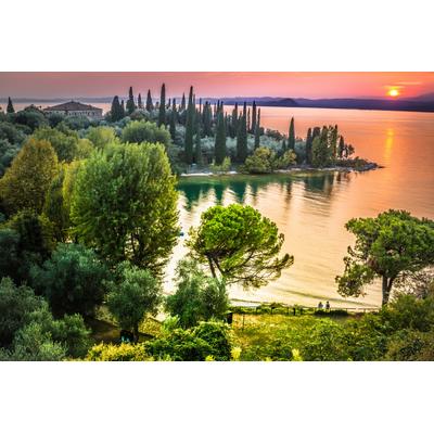 Fototapete PAPERMOON "GARTEN AM SEE MIT PINIEN", bunt, B:2,5m L:1,86m, Vlies, Tapeten
