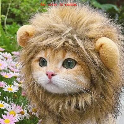 Friendly Fresh Finds Adjustable Cat And Dog Lion Mane Hairpiece For Humorous Dress up Play brown m