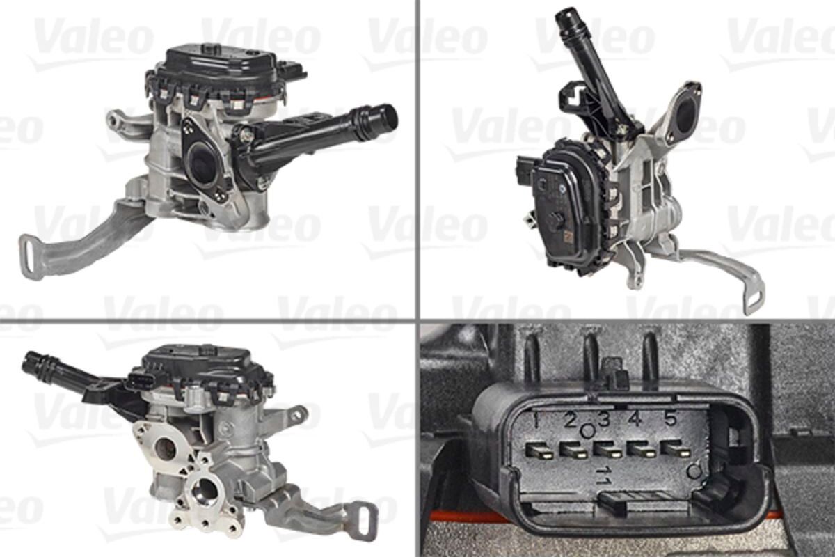 AGR Ventil VALEO 700455