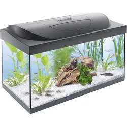 Tetra Aquarium Starter Line LED 54 L schwarz