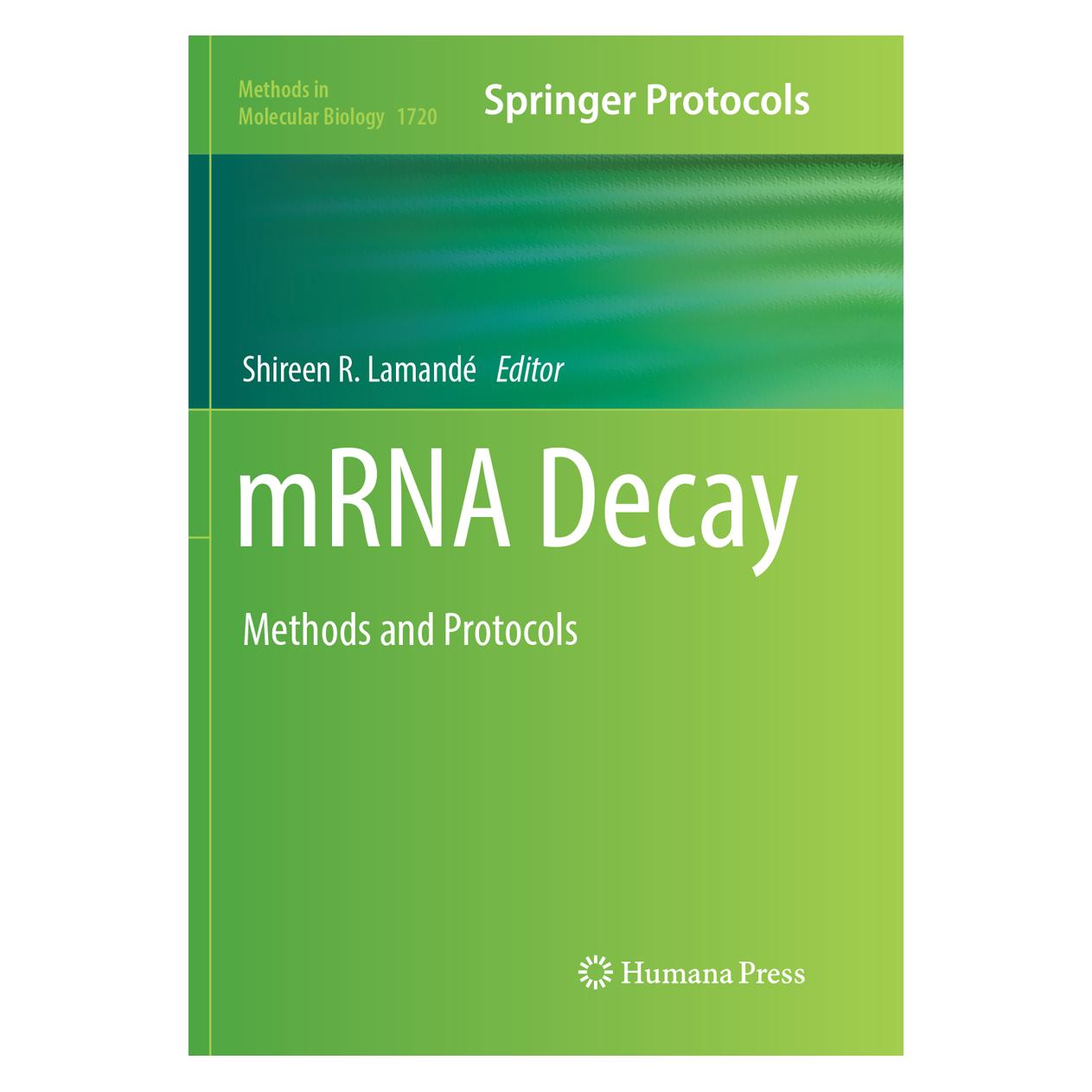 Springer mRNA Decay (Englisch, Softcover, Shireen R. Lamandé) (56065279)