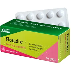 Floradix Eisen 100mg forte 50 St