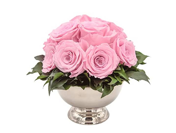 ROSEMARIE SCHULZ Heidelberg Infinity Blume in silberfarbenen Becher ewige Rose konserviert Blumenstrauß langhaltend (Rosa, 11 Rosen)