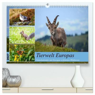 Tierwelt Europas - Naturkalender mit Europas schönsten Wildtieren (hochwertiger Premium Wandkalender 2027 DIN A2 quer), Kunstdruck in Hochglanz