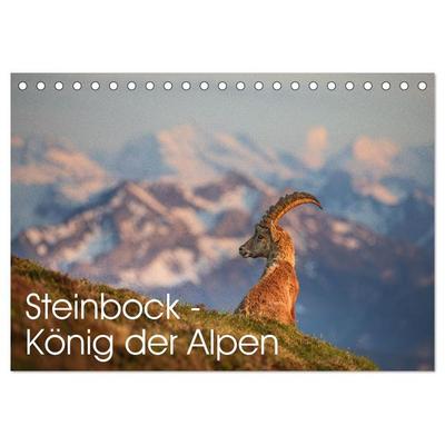Steinbock - König der Alpen (Tischkalender 2026 DIN A5 quer), CALVENDO Monatskalender