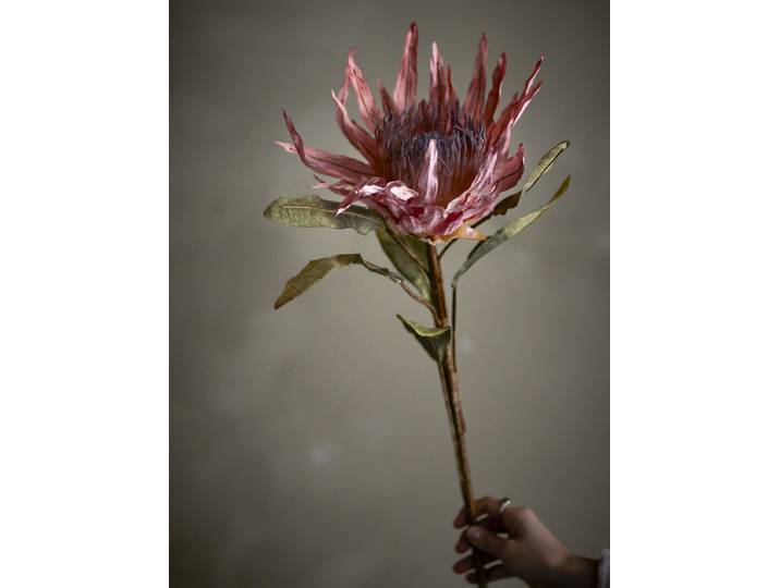 Kunstblume Stiel Protea 22 x 100 x 22cm