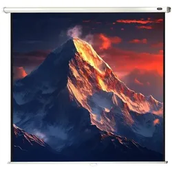 Celexon Rollo Economy (122.44", 1:1), Leinwand, Weiss