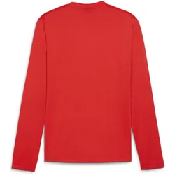 Puma, Herren, Sportshirt, teamGOAL Training Sweat (3XL), Rot, 3XL