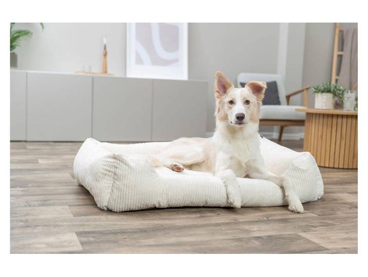 Hundebett TRIXIE Vital Jonna , cream, B/H/L: 60cm x 80cm, Tierbetten, Hundebett