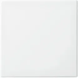 Busch-Jaeger 6735BT-914 Wippe für Smart Switch 1-fach alpinweiß - Busch-balance® SI 2CKA006730A0151 6735BT914