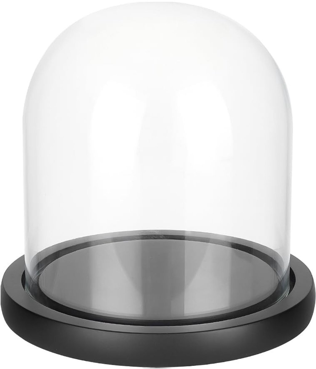 Dailygoods Glazen Display Dome met Houten Basis voor Bloem Handwerk