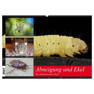 Abneigung und Ekel. Die unbeliebtesten Tiere (Wandkalender 2027 DIN A2 quer), CALVENDO Monatskalender