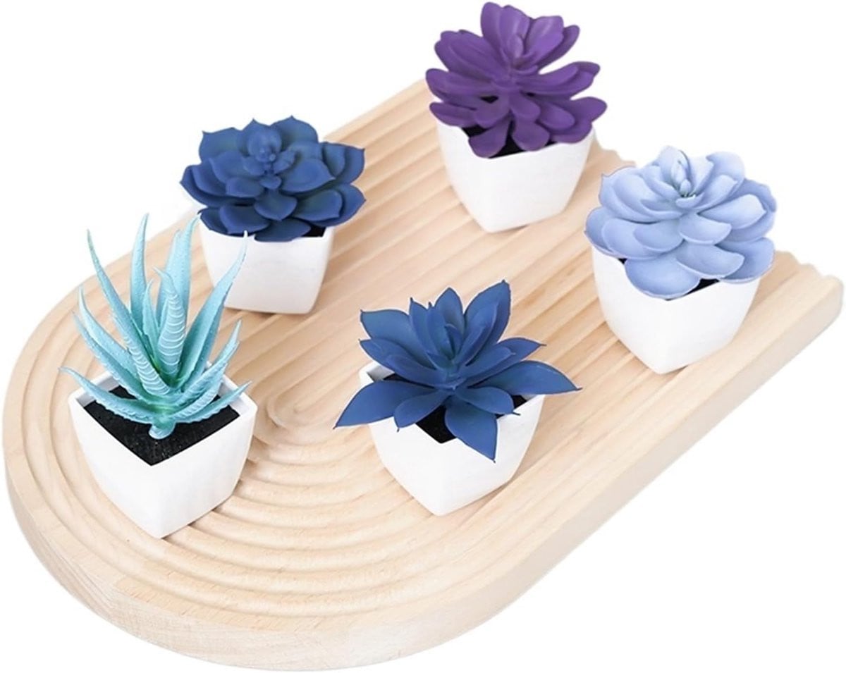 Set van 5 realistische kunstplanten succulenten in miniatuur bonsai stijl, multicolor