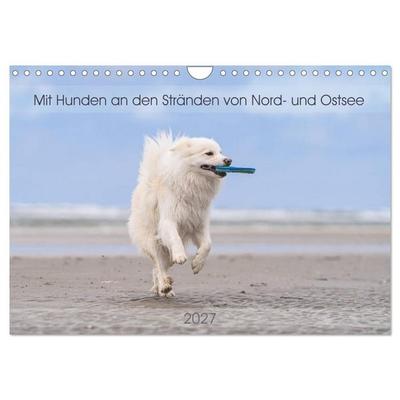 Mit Hunden an den Stränden von Nord- und Ostsee (Wandkalender 2027 DIN A4 quer), CALVENDO Monatskalender