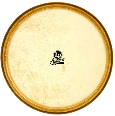 LP "A640C 12" Conga Head Aspire"