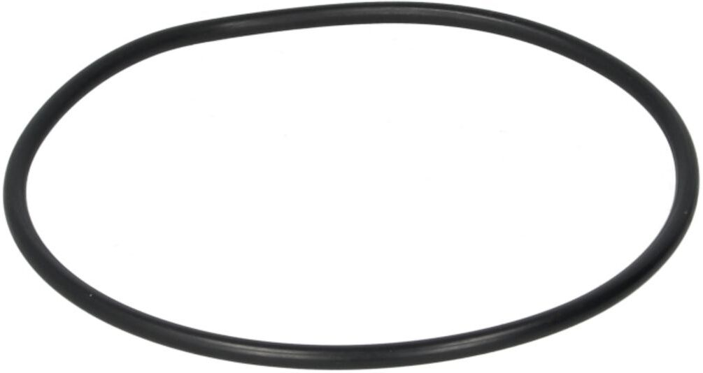 Euroricambi O-ring, cambio manuale 95531553
