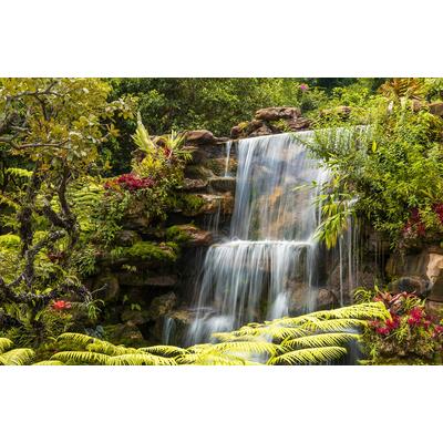 Fototapete PAPERMOON "WASSERFALL-FLUSS SEE WALD STEINE BLUMEN BERGE BACH XXL", bunt, B:2,5m L:1,86m, Vlies, Tapeten