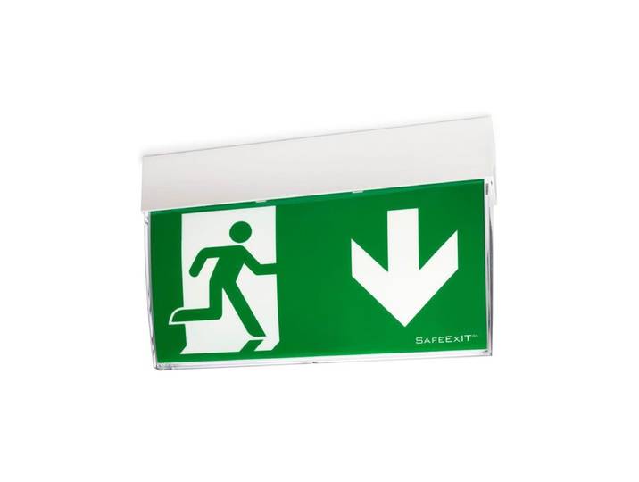 CEAG ( Safeexit ) F1 at escape sign