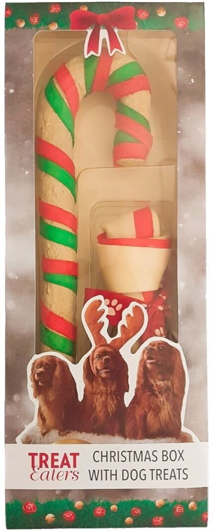 Treateaters Christmas Treat Box