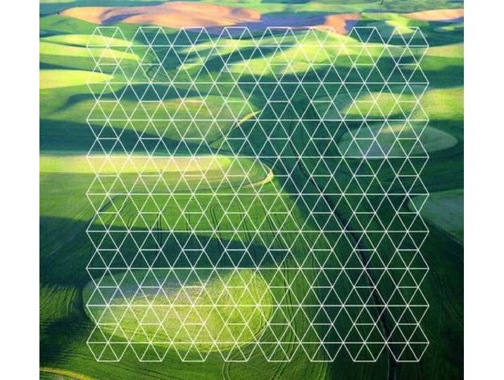 Fields